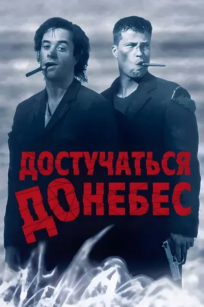 Дэна Швайгер