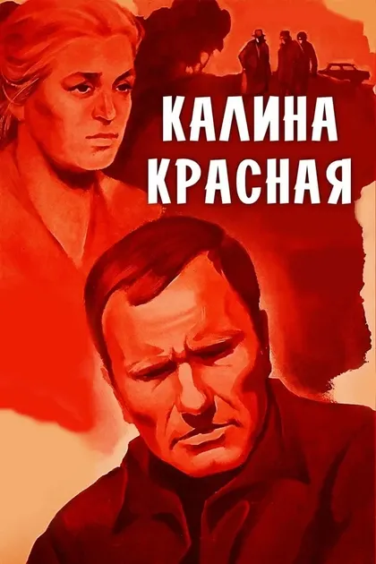 Александр Коняшин