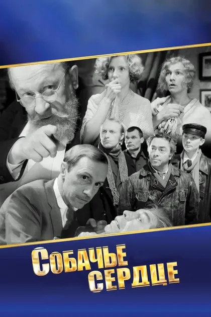 Анжелика Неволина